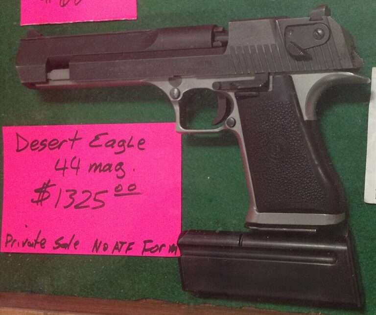 Background Checks and Gun Control: Examining the Legislative Framework